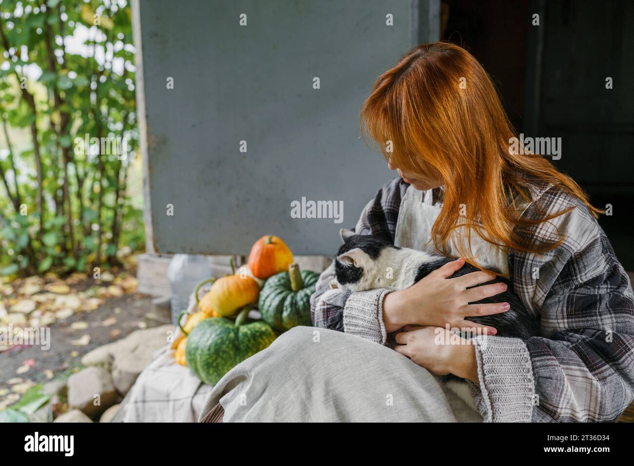 Allevatore di rosse con gatto che riposa sul portico Foto Stock