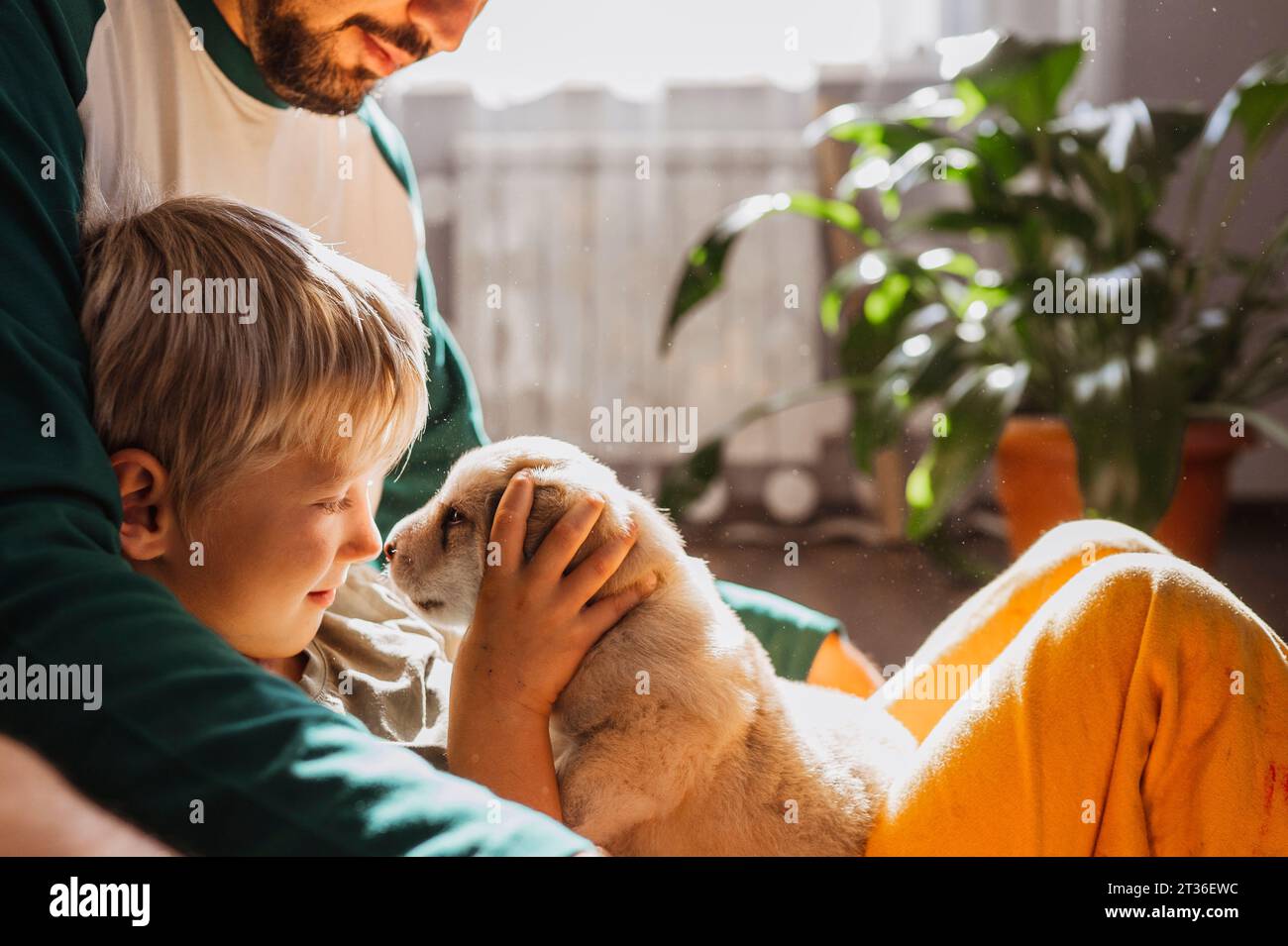 Un ragazzo biondo che gioca con un cucciolo di razza mista a casa Foto Stock