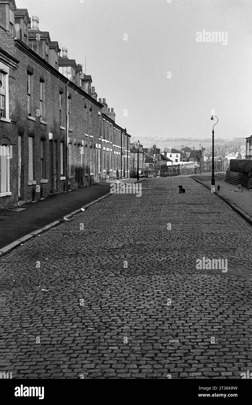 Cani che giocano su una strada acciottolata di case in attesa di demolizione durante la slum di St Ann's, Nottingham. 1969-1972 Foto Stock