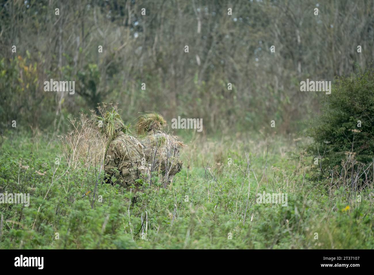 soldati di fanteria mimetizzati che si muovono attraverso prati boschivi Foto Stock