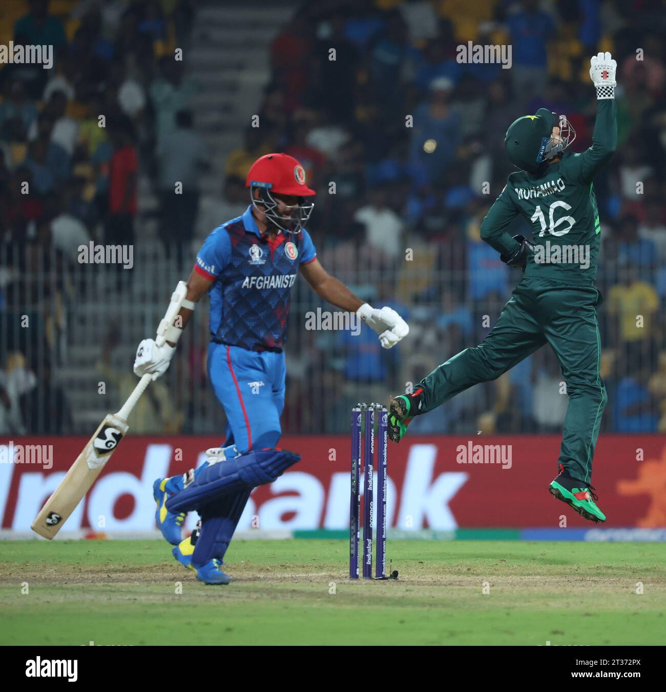 Chennai, Tamil Nadu, INDIA. 23 ottobre 2023. ICC Men's Cricket World Cup INDIA 2023: .Pakistan vs Afganistan : Pak 282 per 7 su 50 over.Afganistan 286 - per 2 su 49 overs. Mentre Babbar & Shafiqul colpirono 74 e 58 per il Pakistan, Ibrahim Zardan 87 della AFG, Gurbaz 65, Rahmat 77 (non fuori) Shahidi (C) 48 non fuori e finirono il Pakistan con 8 wickets. Afghanistan vinto da 8 wicket. Mohammad alzando alto in azione (Credit Image: © Seshadri Sukumar/ZUMA Press Wire) SOLO USO EDITORIALE! Non per USO commerciale! Foto Stock