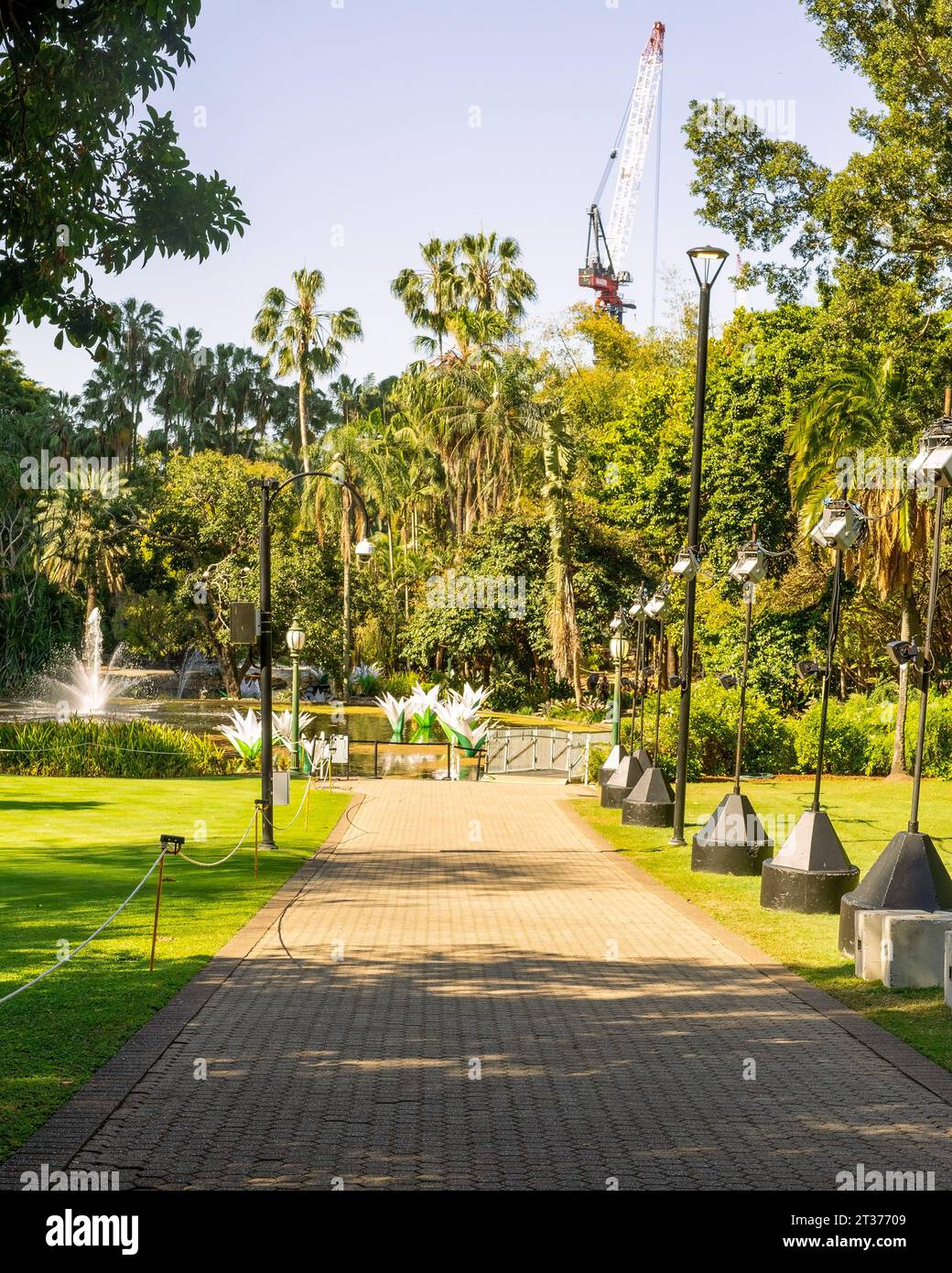 Il City Botanic Gardens è un parco pubblico situato nel centro di Brisbane, Queensland, Australia Foto Stock