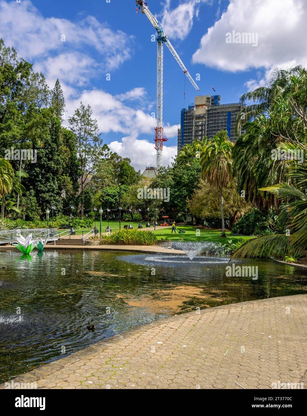 Il City Botanic Gardens è un parco pubblico situato nel centro di Brisbane, Queensland, Australia Foto Stock
