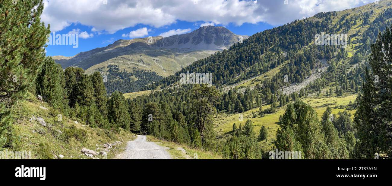Sentiero di ghiaia da Alp Astras a S-charl, Val S-charl, Scuol, Engadina, Grigioni, Svizzera Foto Stock