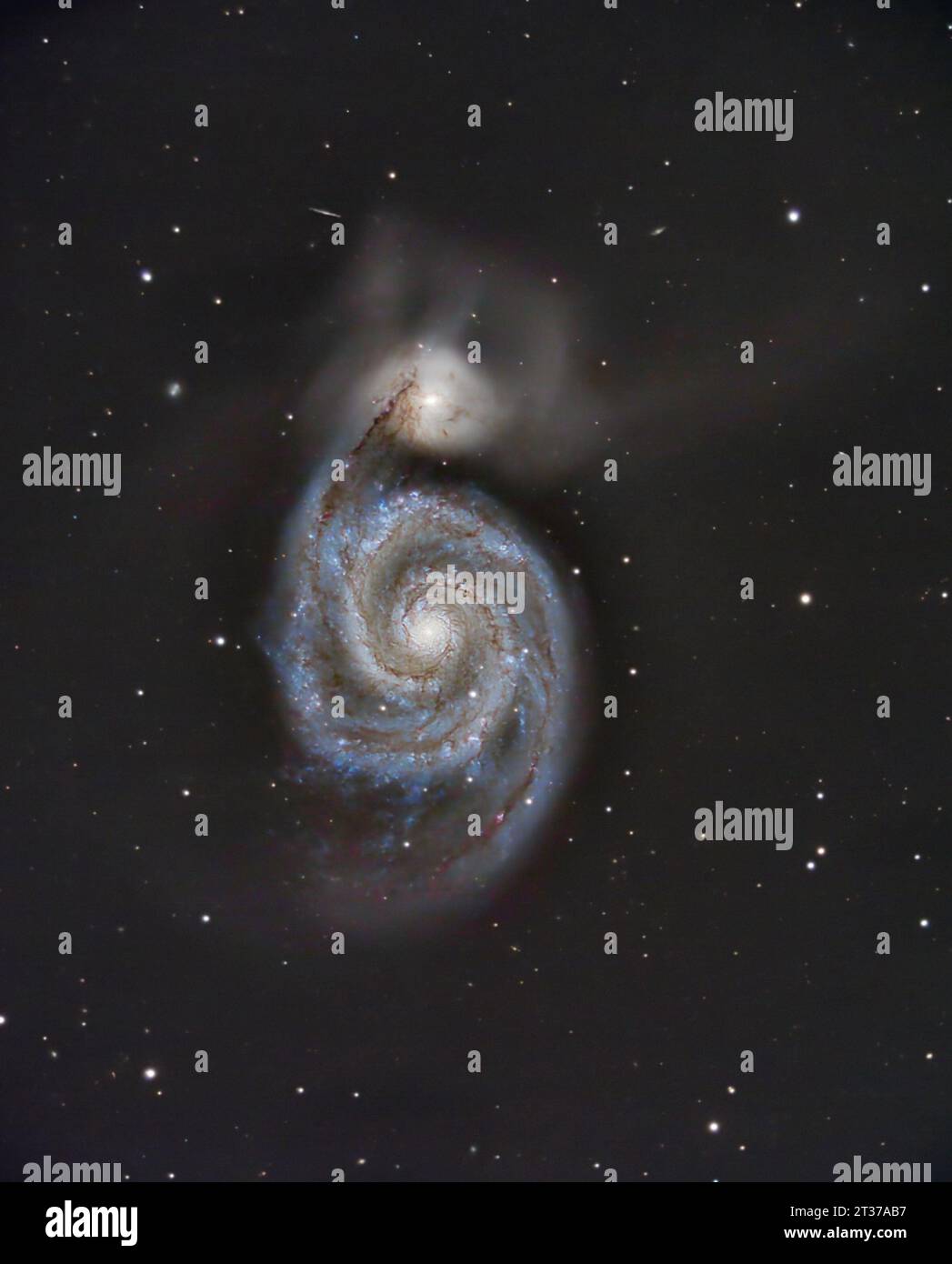 Il Whirlpool Galaxy Foto Stock