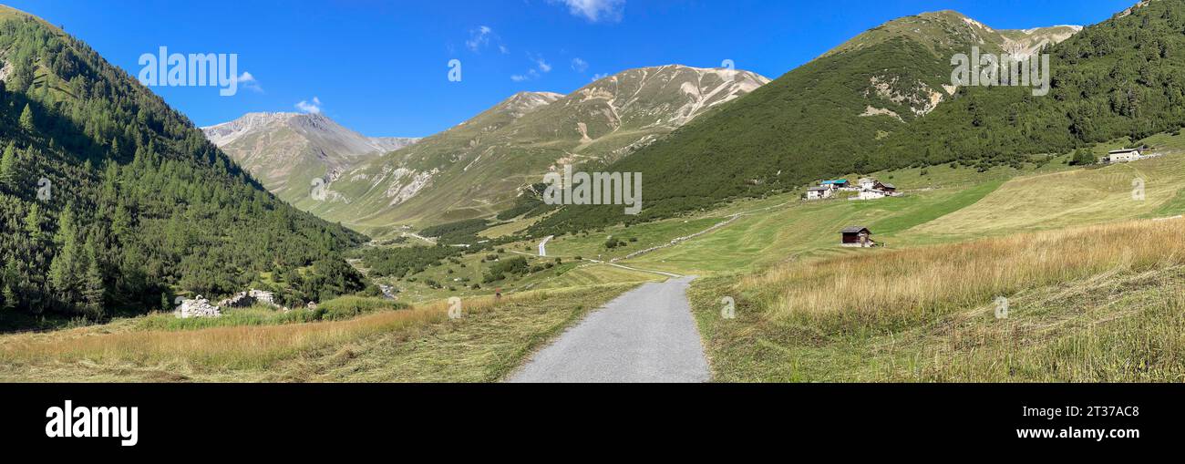 Salita al passo Chaschauna, strada, Livigno, Italia Foto Stock