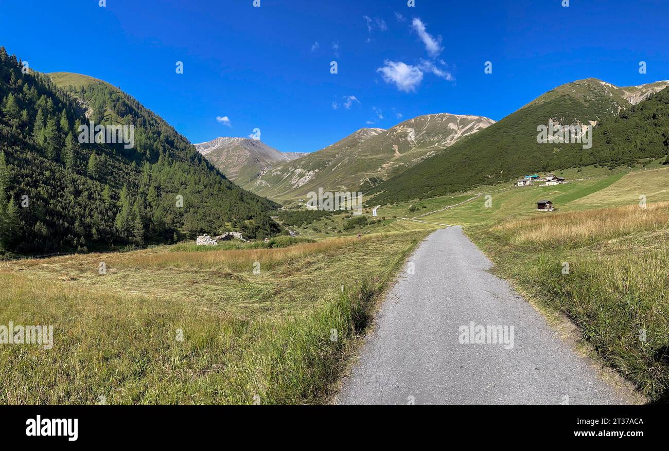 Salita al passo Chaschauna, strada, Livigno, Italia Foto Stock