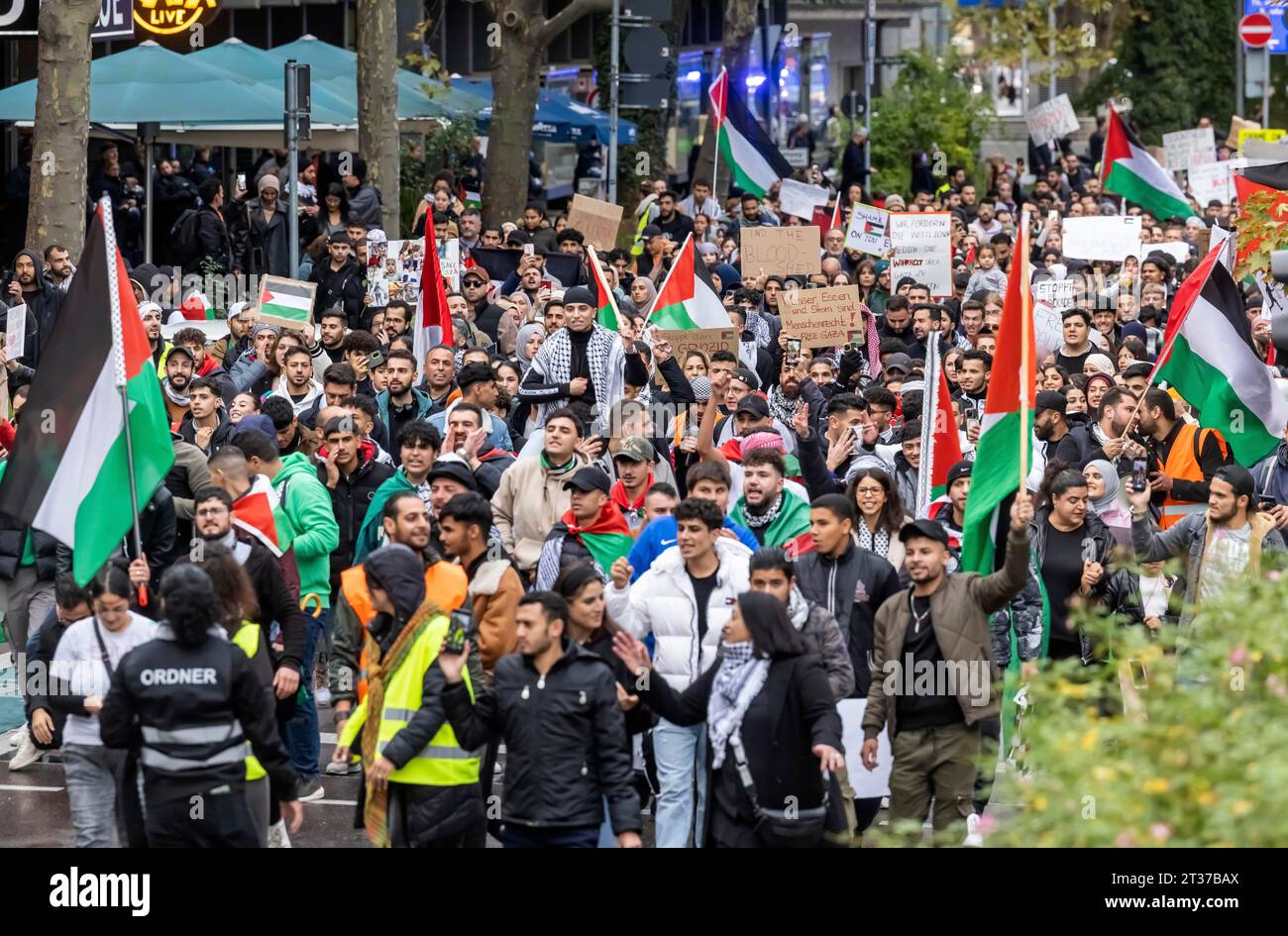 Raduno di manifestanti pro-palestinesi. Chiedono la fine dell’oppressione dei palestinesi e la fine di quello che hanno definito genocidio. La polizia lo era Foto Stock