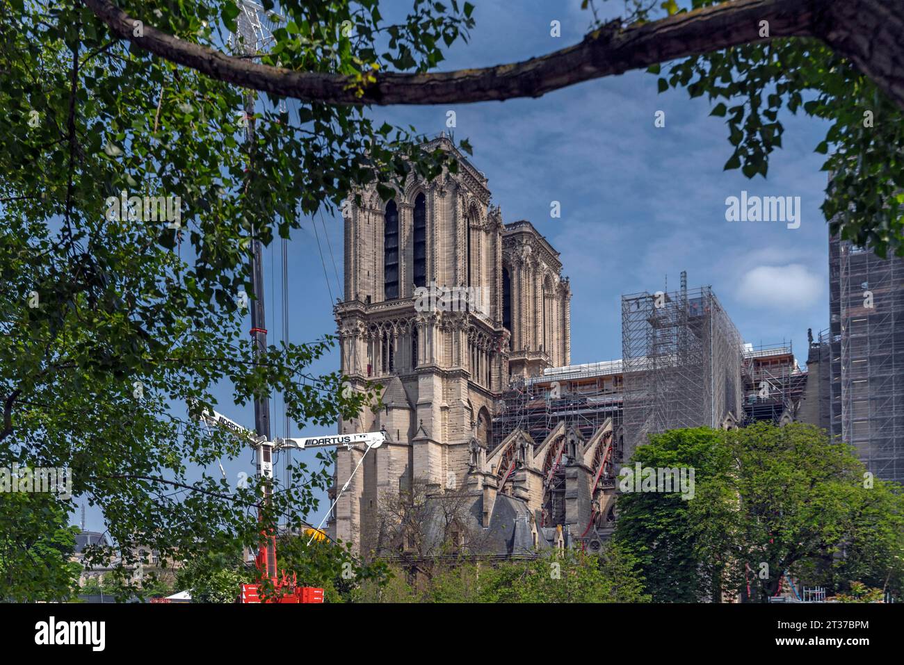 Notre Dame impalcata, ricostruita dopo l'incendio, Parigi, Francia Foto Stock