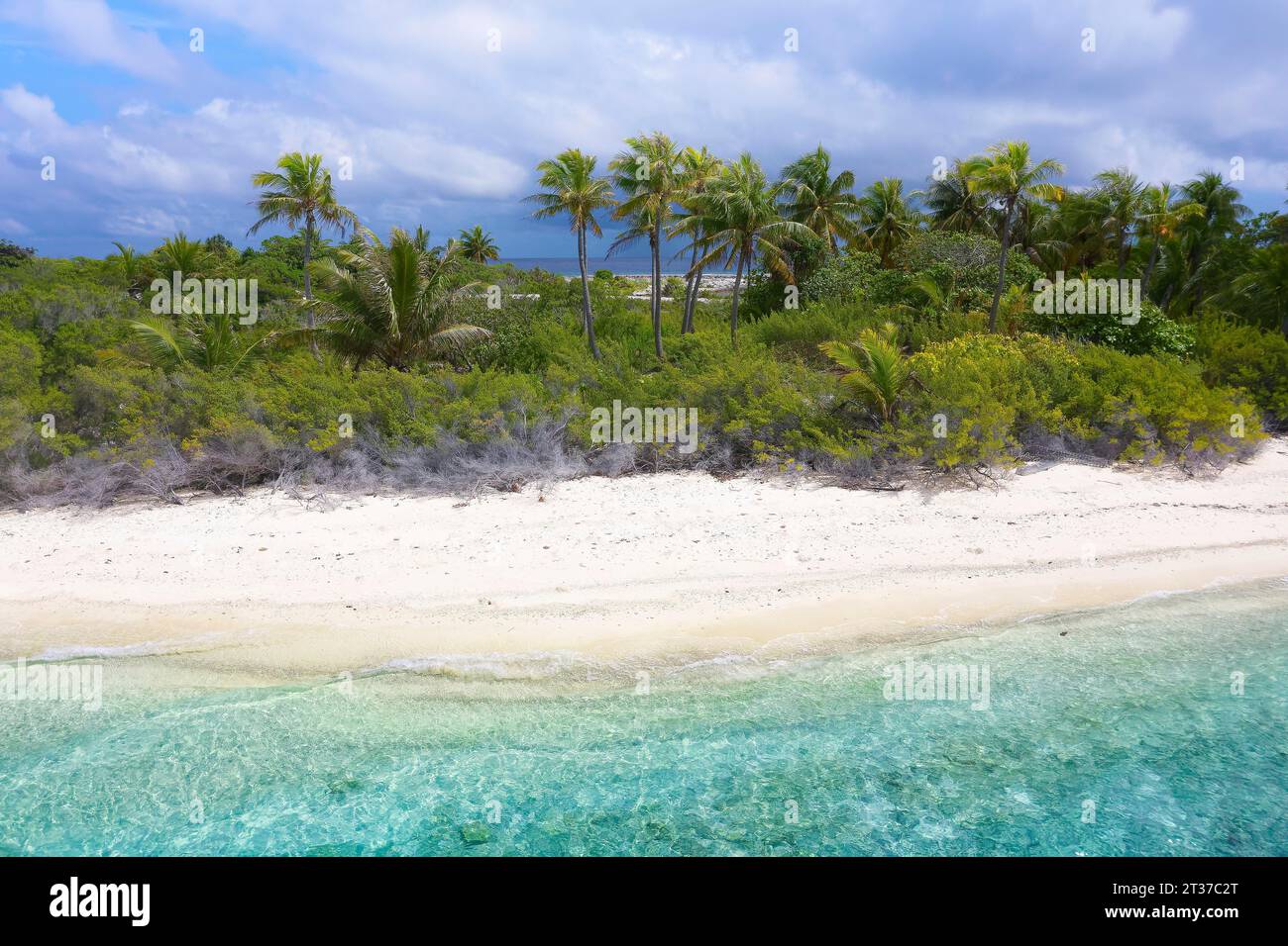 Vista aerea, paesaggio tipico dell'isola, isola disabitata, laguna, spiaggia sabbiosa, cespugli e palme da cocco (Cocos nicifera), atollo Fakarava, Tuamotu Foto Stock