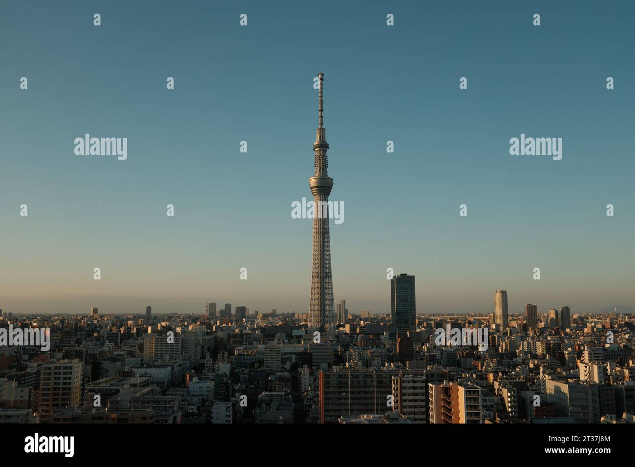 Tokyo Skytree al tramonto. Foto Stock