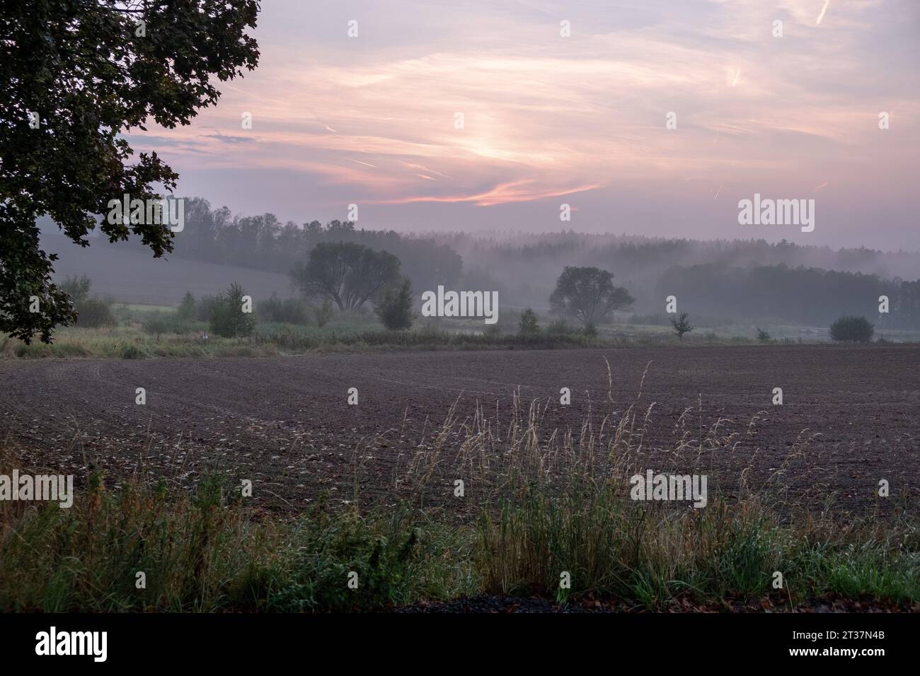 tramonto nebbioso, campo arato, tramonto sul campo arato, romantico paesaggio da sogno Foto Stock