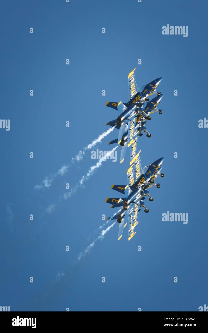 Miramar, California, USA - 24 settembre 2023: Quattro Blue Angels impilati insieme in un loop, con l'aggiunta di Gear, all'America's Airshow 2023. Foto Stock