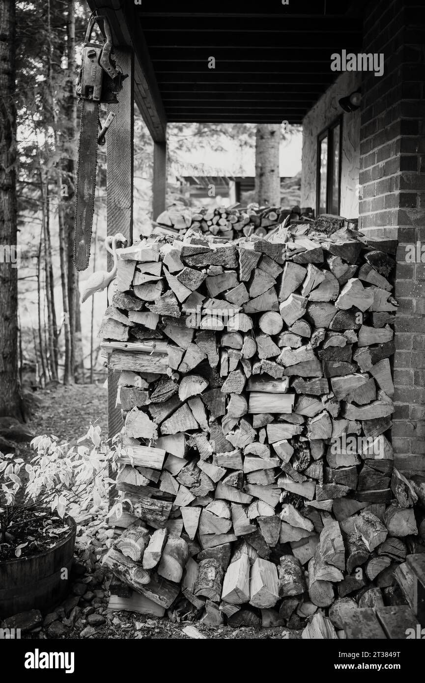 Pile di legna da ardere tagliata e spaccata, pronta per l'inverno, impilate dietro una casa di montagna. Immagine in bianco e nero. Whistler BC, Canada. Foto Stock