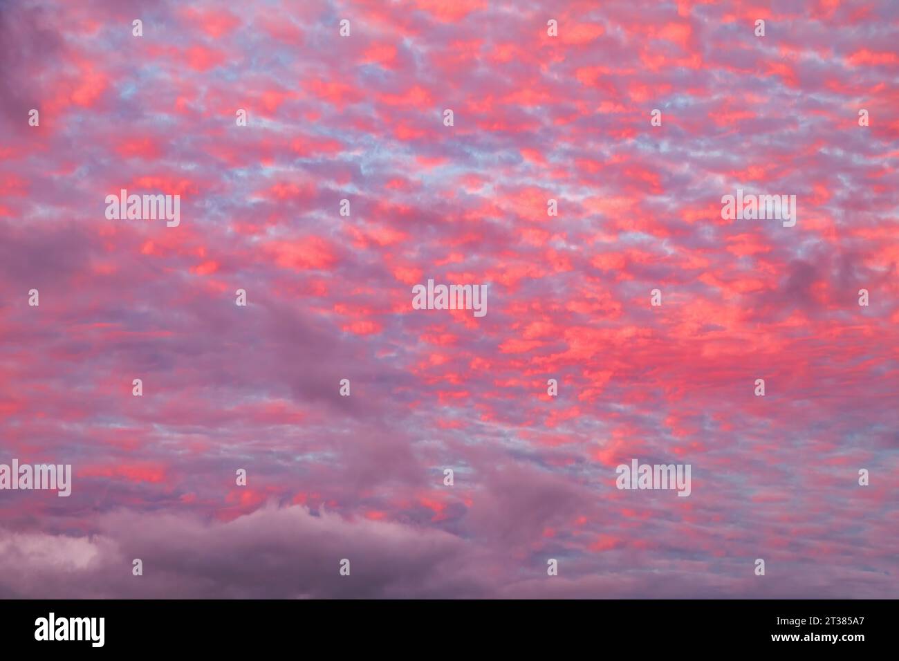 Onda esplosiva turchese che si schianta su Maui Foto Stock