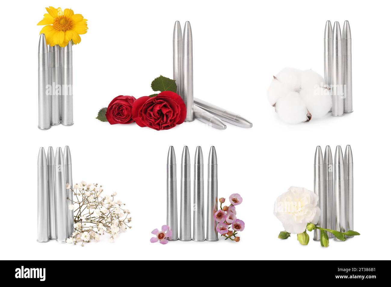 Set di proiettili e bellissimi fiori isolati su bianco Foto Stock