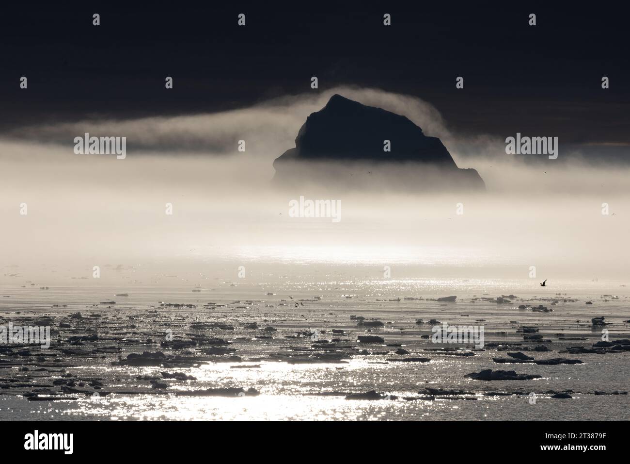 Iceberg e nebbia marina Foto Stock