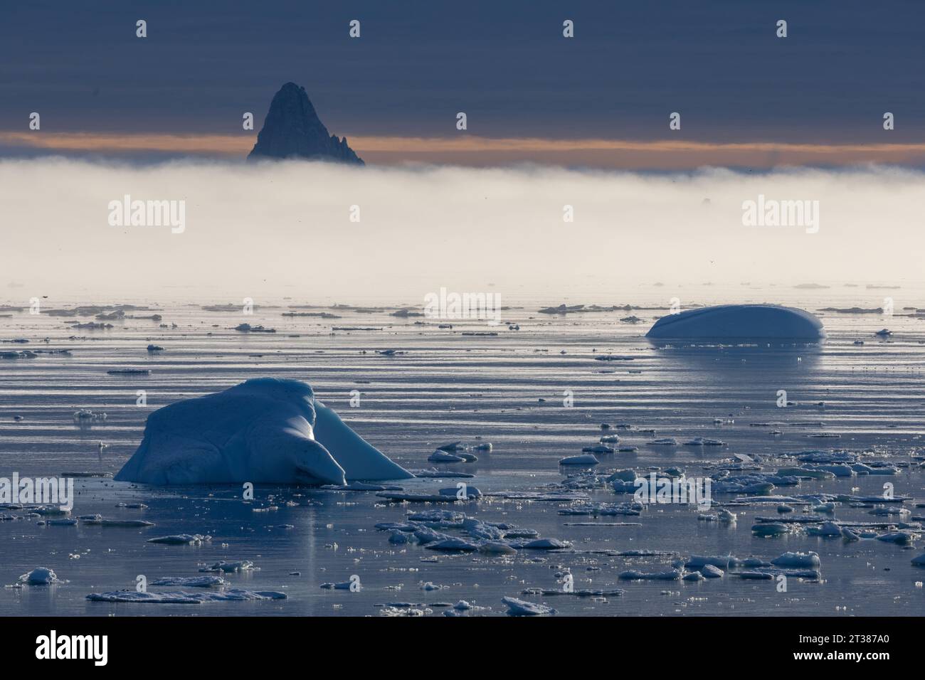 Iceberg e nebbia marina Foto Stock