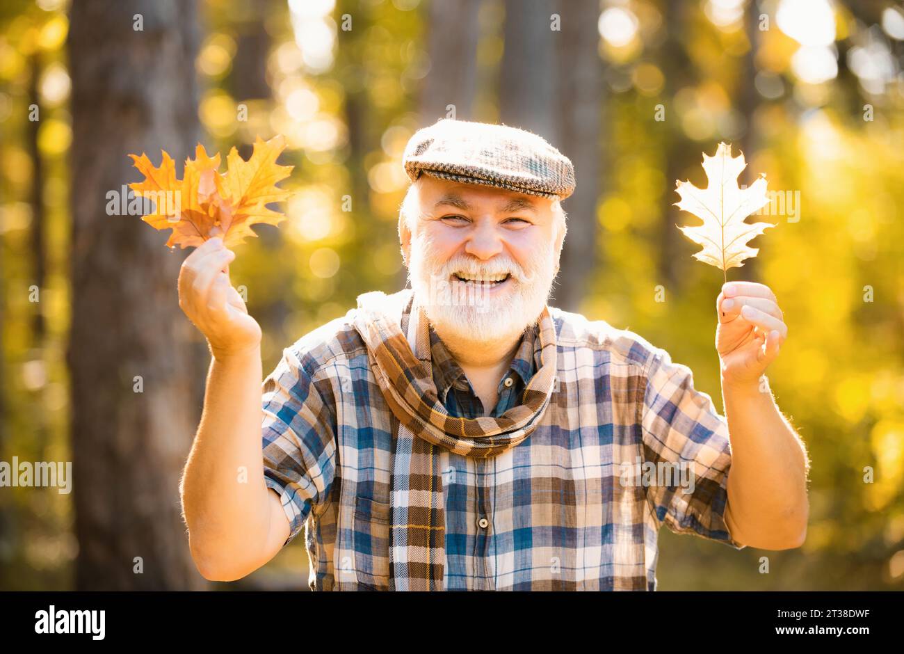 Concetto di pensione di libertà. Uomo anziano attivo che si diverte e gioca con le foglie nella foresta autunnale. Foglie autunnali cadute sparse per terra. Foto Stock