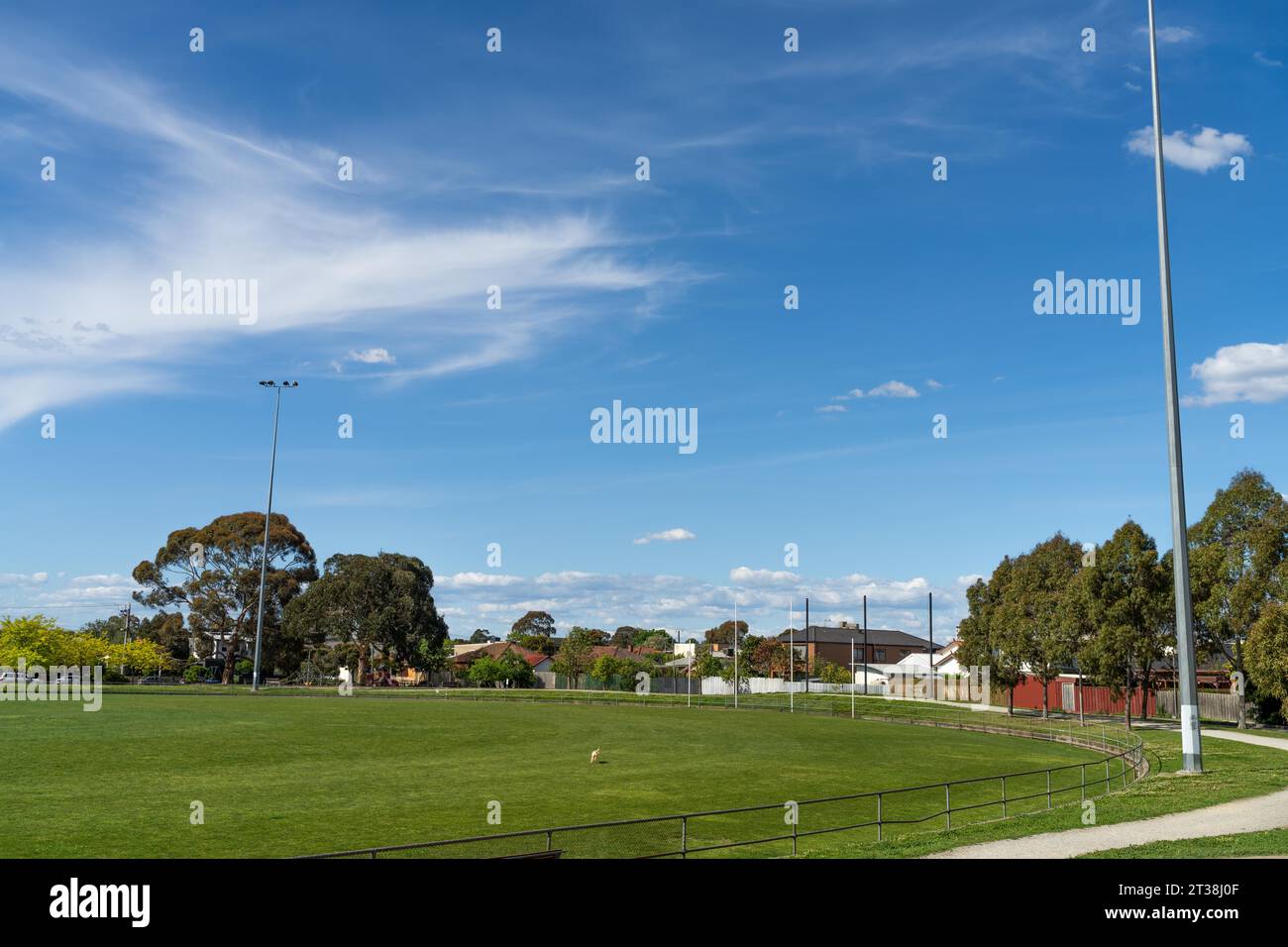 afl football ovale australia Foto Stock