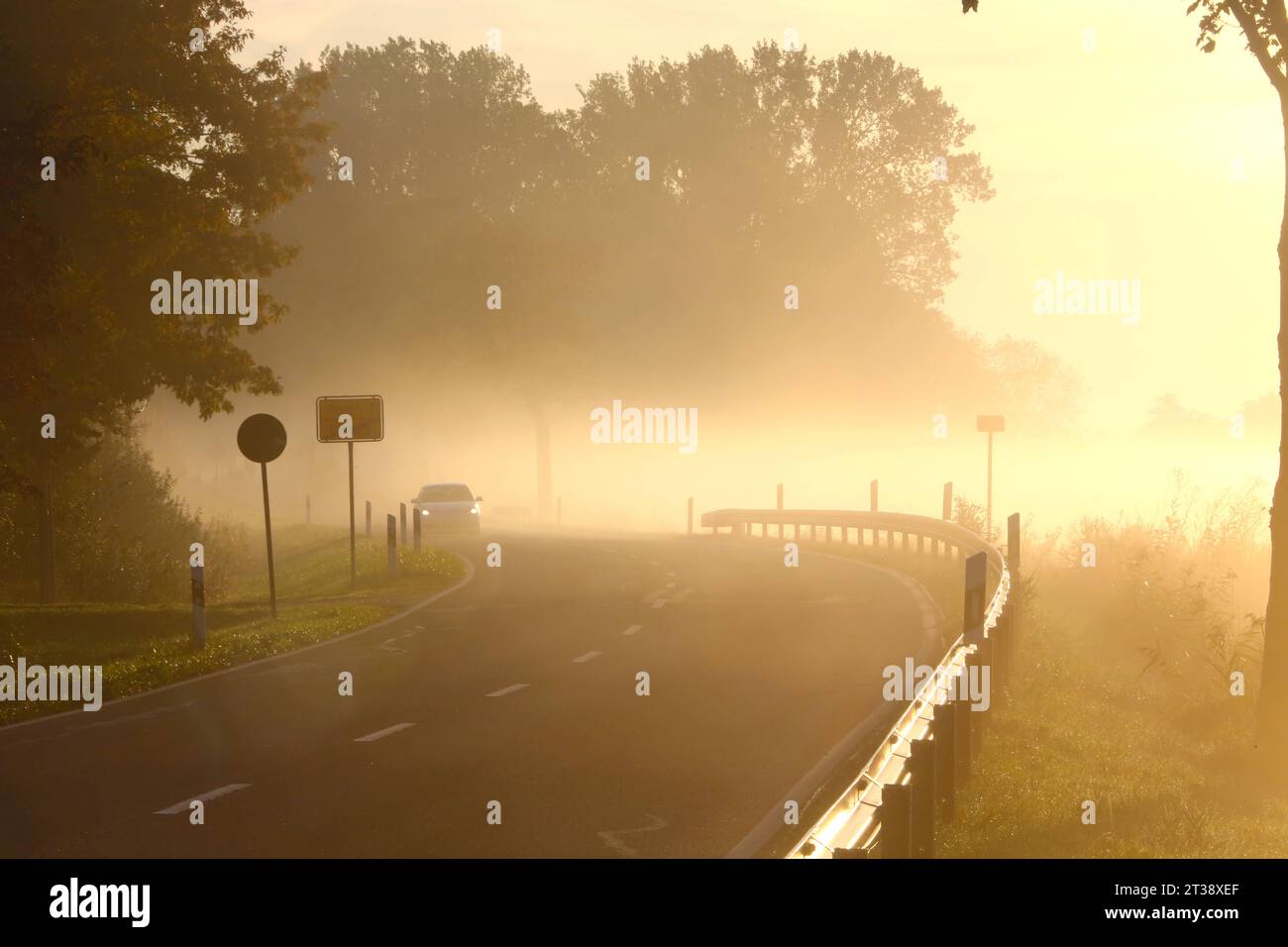 Blick am Montag 23.10.2023 am Ortseingang von Lühburg Landkreis Rostock auf eine Landstraße im Frühnebel. IM Verlauf des Tages zeigte das Wetter in Meclemburgo Vorpommern noch einmal von seiner sonnigen Seite. Bereits in den frühen Morgenstunden tauchten die Straßen und Landschaften in ein ganz besonderes Licht ein. für die kommenden Tage erwarten die Metrologen im Nordosten jedoch eher ein wechselhaftes Wetter. Doch auch dieses macht den Weg zur Arbeit für zahlreiche Verkehrsteilnehmer nicht einfacher. Denn auch Nässe kann neben Nebel und intensiver Sonnenstrahlung für die Fahrzeugführer manc Foto Stock