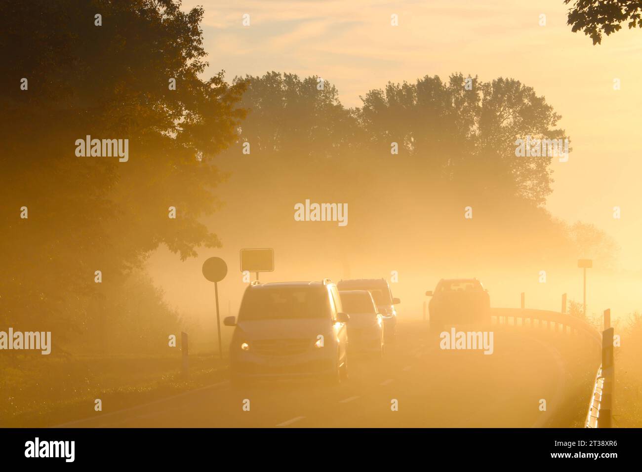 Blick am Montag 23.10.2023 am Ortseingang von Lühburg Landkreis Rostock auf eine Landstraße im Frühnebel. IM Verlauf des Tages zeigte das Wetter in Meclemburgo Vorpommern noch einmal von seiner sonnigen Seite. Bereits in den frühen Morgenstunden tauchten die Straßen und Landschaften in ein ganz besonderes Licht ein. für die kommenden Tage erwarten die Metrologen im Nordosten jedoch eher ein wechselhaftes Wetter. Doch auch dieses macht den Weg zur Arbeit für zahlreiche Verkehrsteilnehmer nicht einfacher. Denn auch Nässe kann neben Nebel und intensiver Sonnenstrahlung für die Fahrzeugführer manc Foto Stock