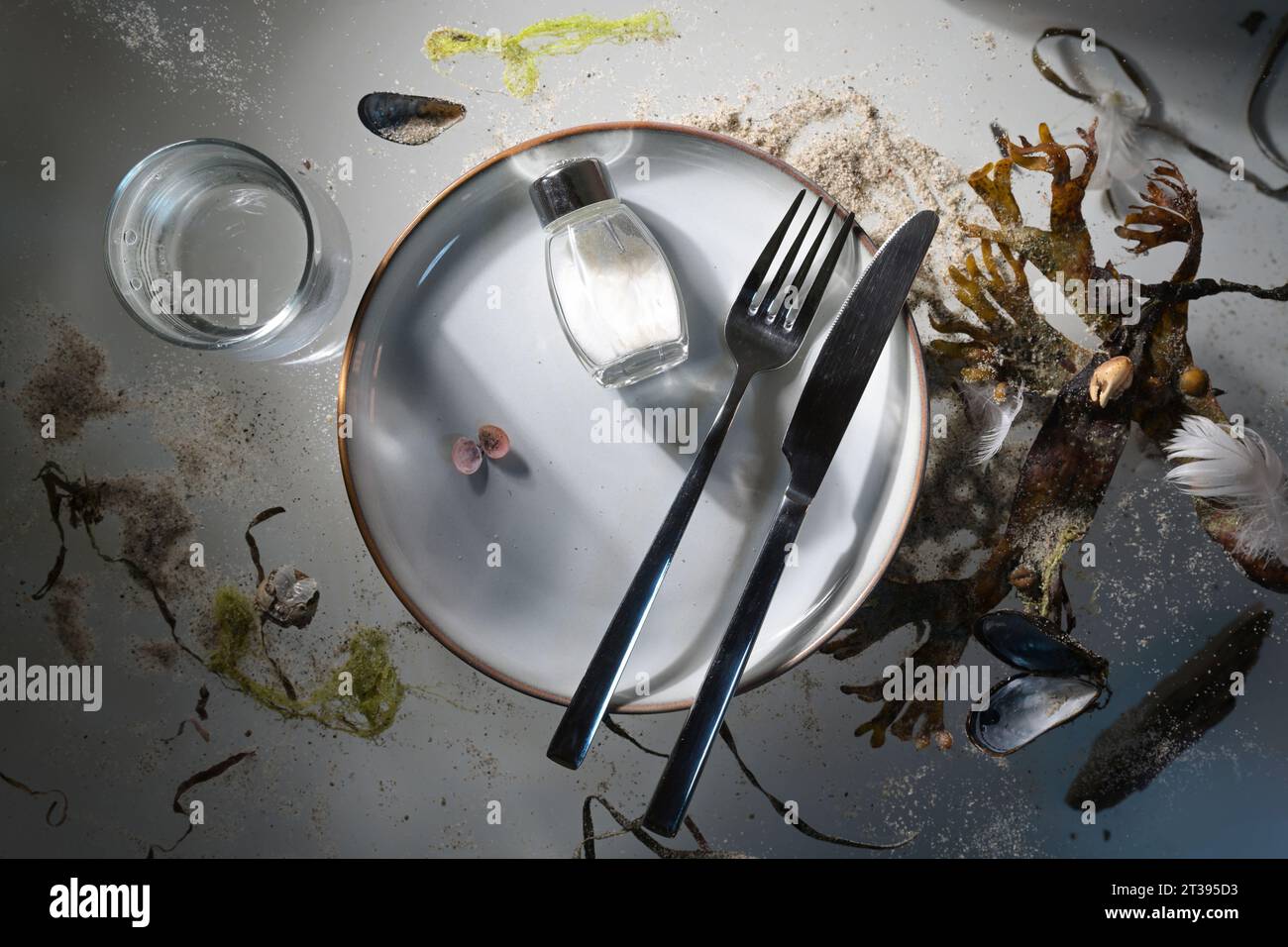 Disposizione del tavolo con piatto, posate e uno shaker di sale tra oggetti incagliati come il velo della vescica, le conchiglie e la sabbia con ombre scure e aspre su uno sfondo grigio Foto Stock