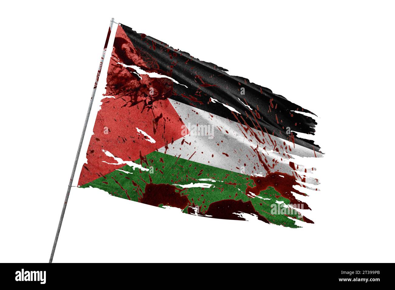 Bandiera Palestinese E Pallone Da Calcio - Immagini Vettoriali Stock E - Foto 3