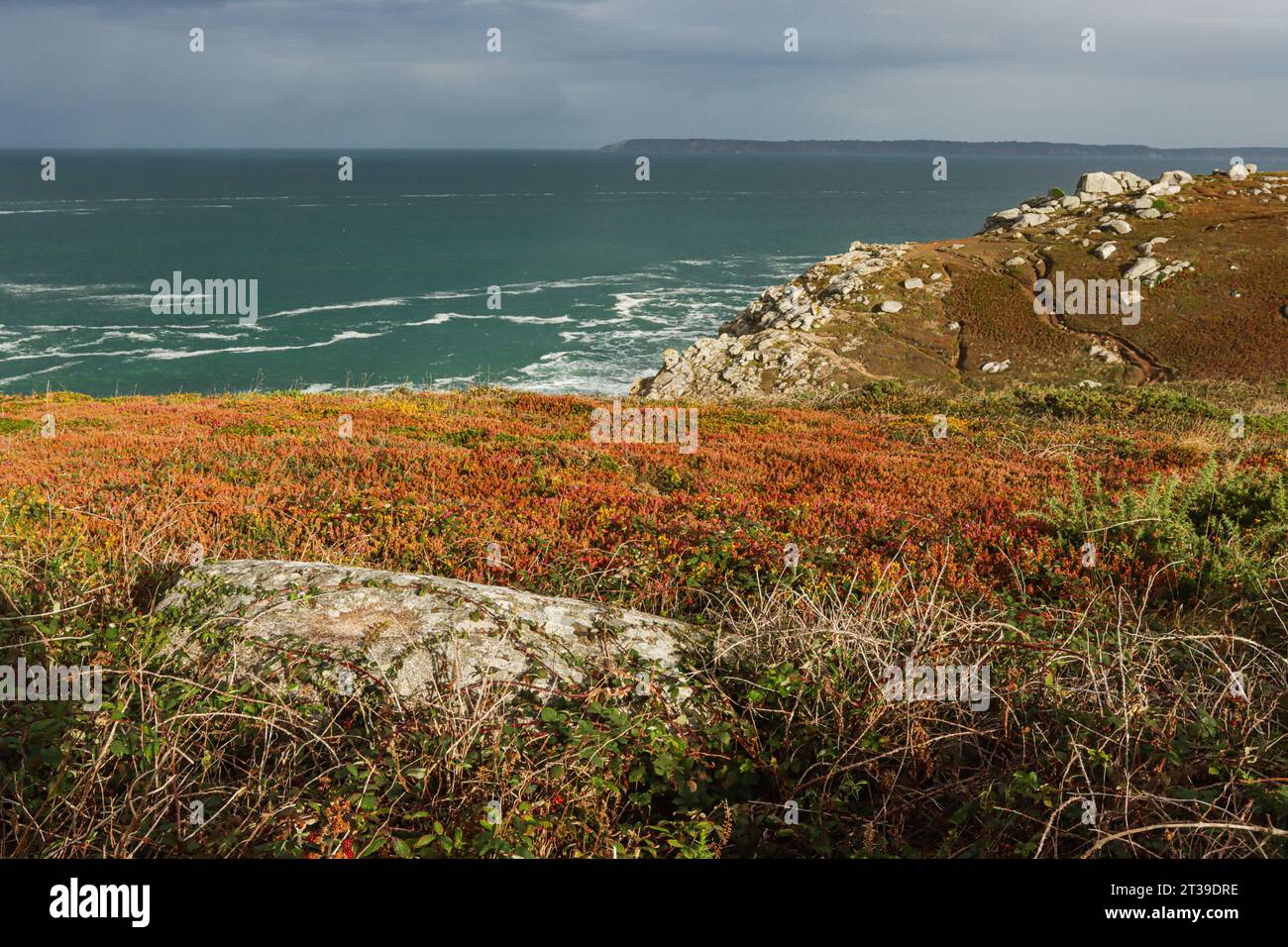 Pointe du Millier, Cap Sizun, Bretagne, Francia Foto Stock