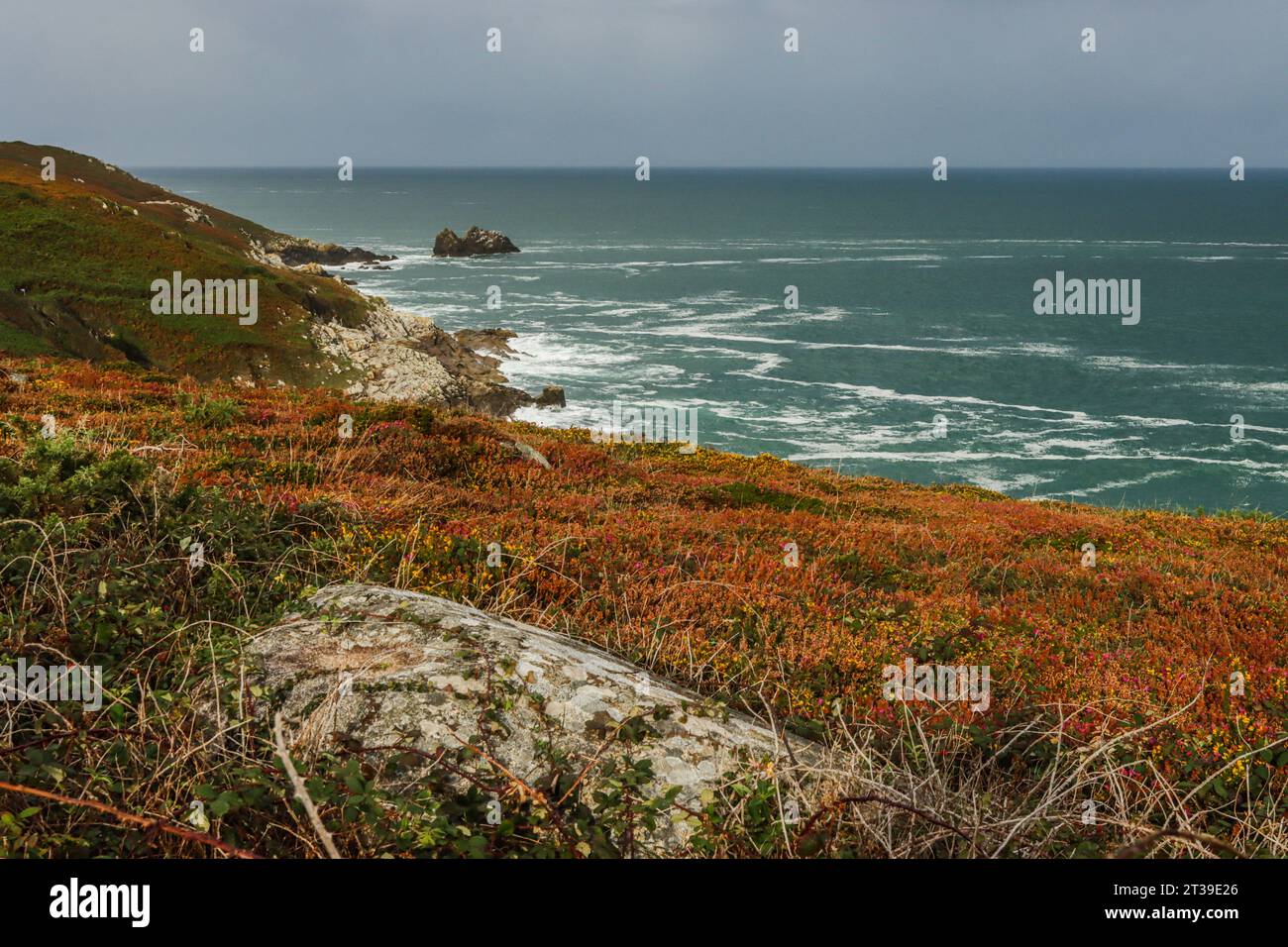Moor at Pointe du Millier, Cap Sizun, Bretagne, Francia Foto Stock