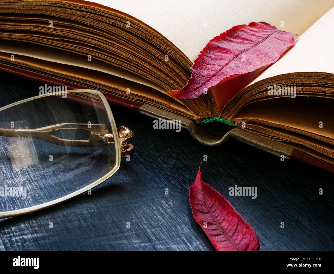 Un libro aperto con una foglia autunnale come simbolo di calma e relax durante la lettura. Foto Stock