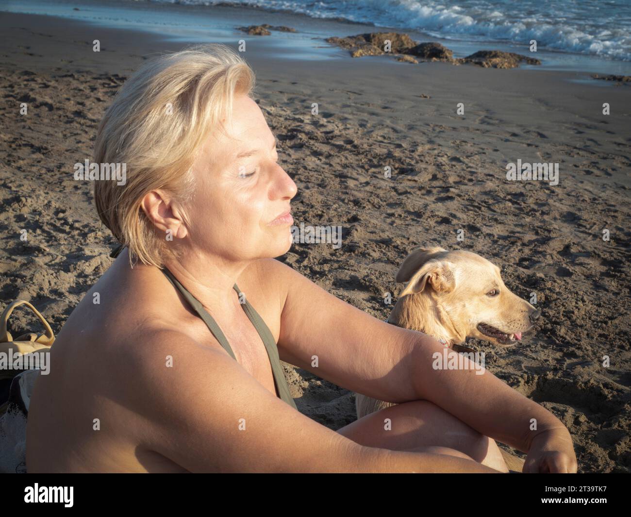 Marbella, Malaga, Spagna. 09/03/2023. Cane Labrador osservando come i bagnanti camminano sulle spiagge di Marbella. Foto Stock