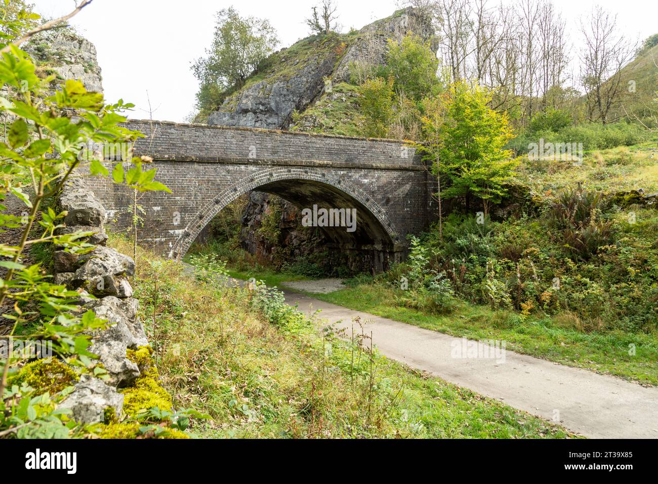 Il sentiero Monsal vicino a Buxton, Derbyshire Foto Stock