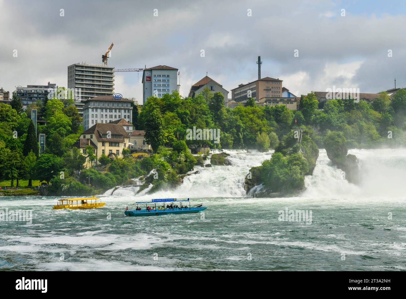 Vista delle cascate del Reno (Rheinfalls), la cascata più grande d'Europa Foto Stock
