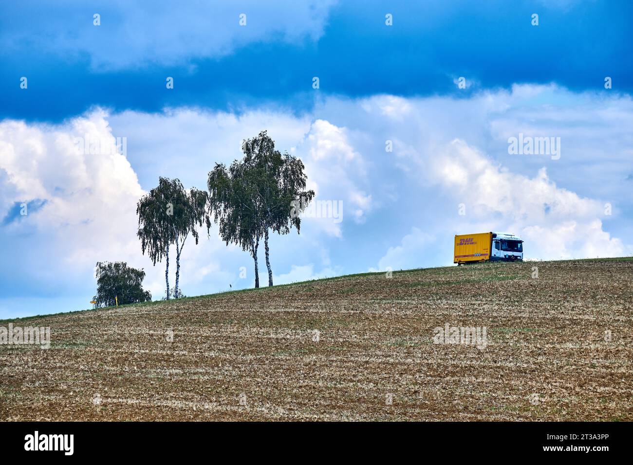 Paesaggio francese con alberi e un furgone DHL. Foto Stock