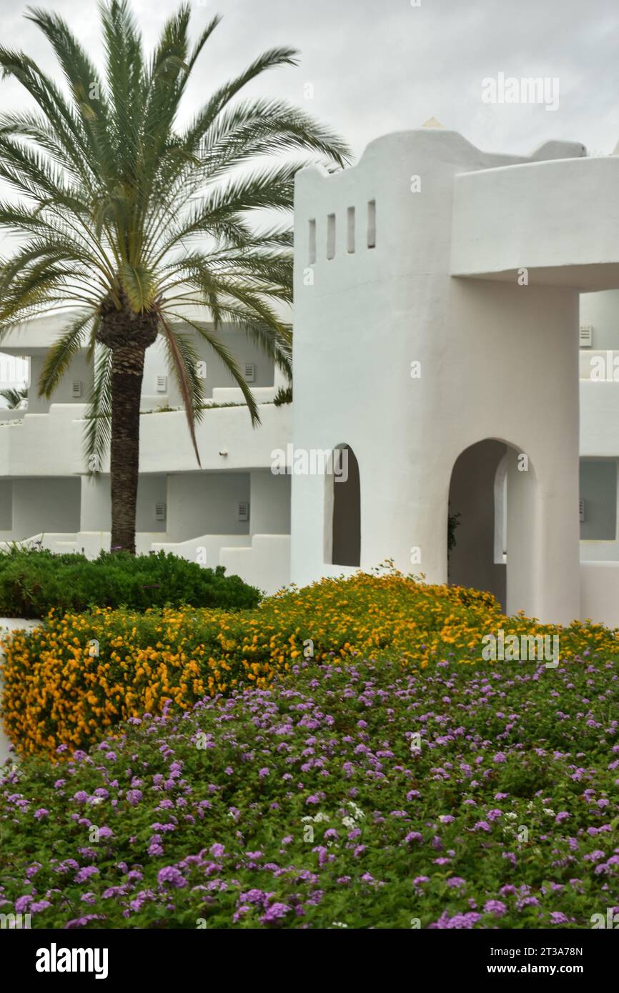 Hotel H10EsteponaPalace, facciata bianca, piante, architettura, luogo dove rilassarsi. Foto Stock