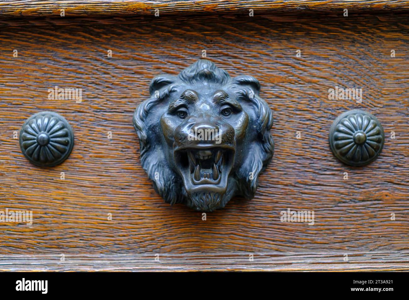 Accessori per porte, applicazioni metalliche sotto forma di testa di leone e manopole su legno. Foto Stock
