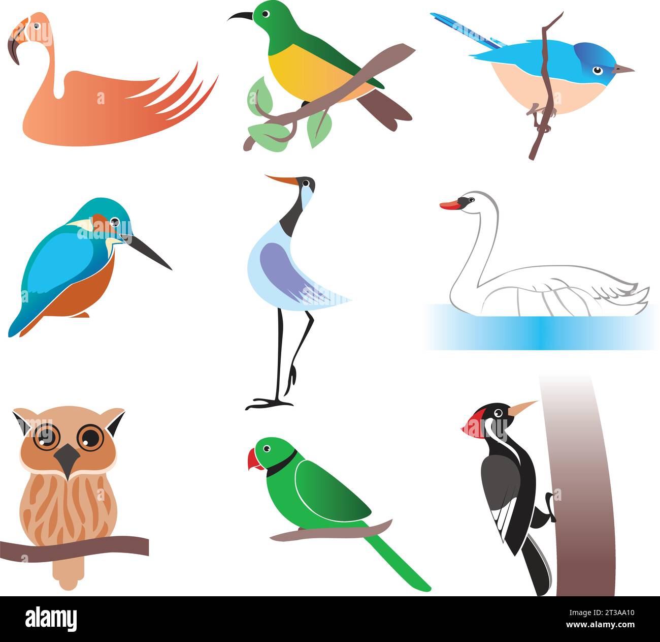 Colorato set di graziosi uccelli vettoriali disegnati a mano che si trovano in diversi luoghi del mondo Illustrazione Vettoriale