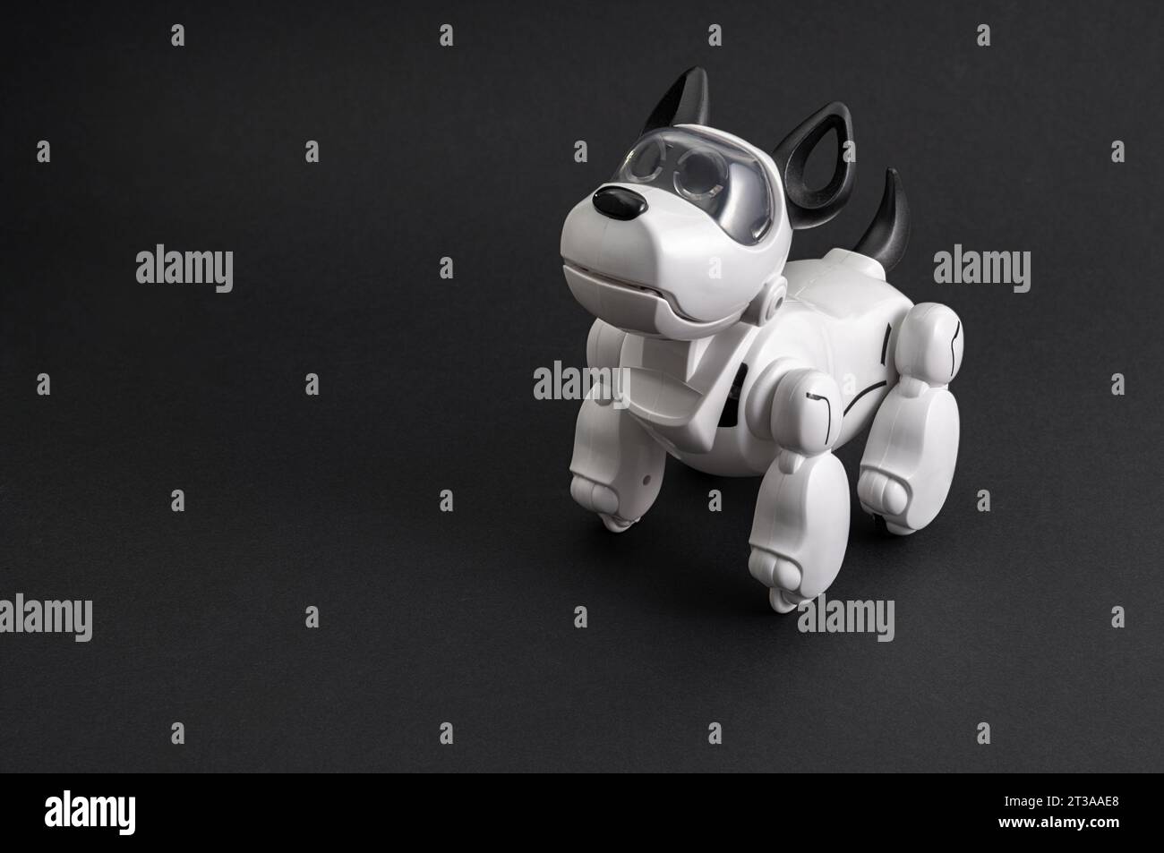 Cucciolo robotico su sfondo nero Foto Stock