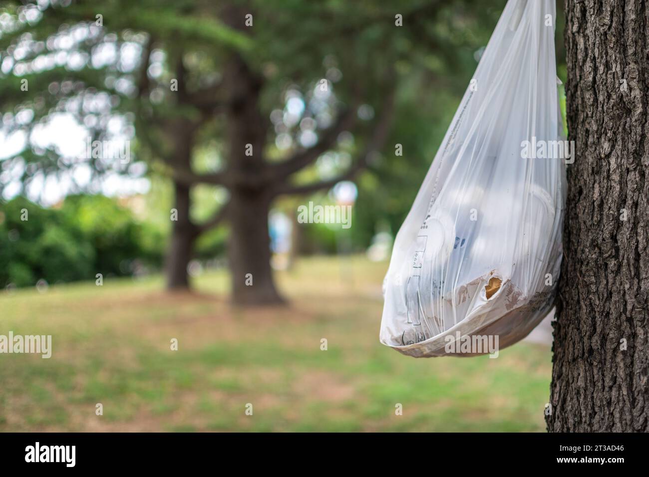 Il sacco della spazzatura appeso all'albero in natura mostra l'impatto dell'inquinamento umano nelle aree verdi Foto Stock