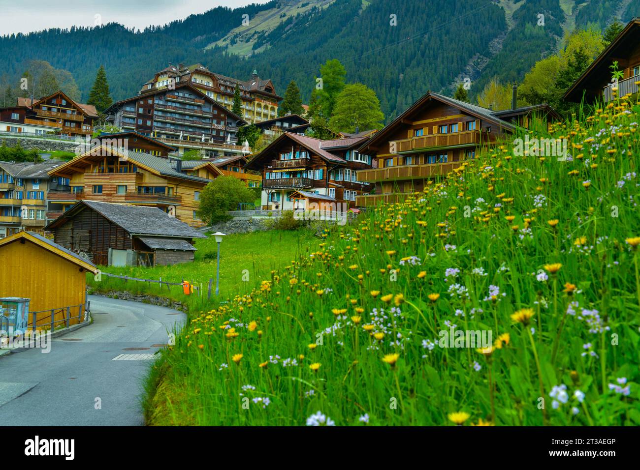 Vista del villaggio alpino di Wengen, splendida scena all'aperto in Svizzera Foto Stock