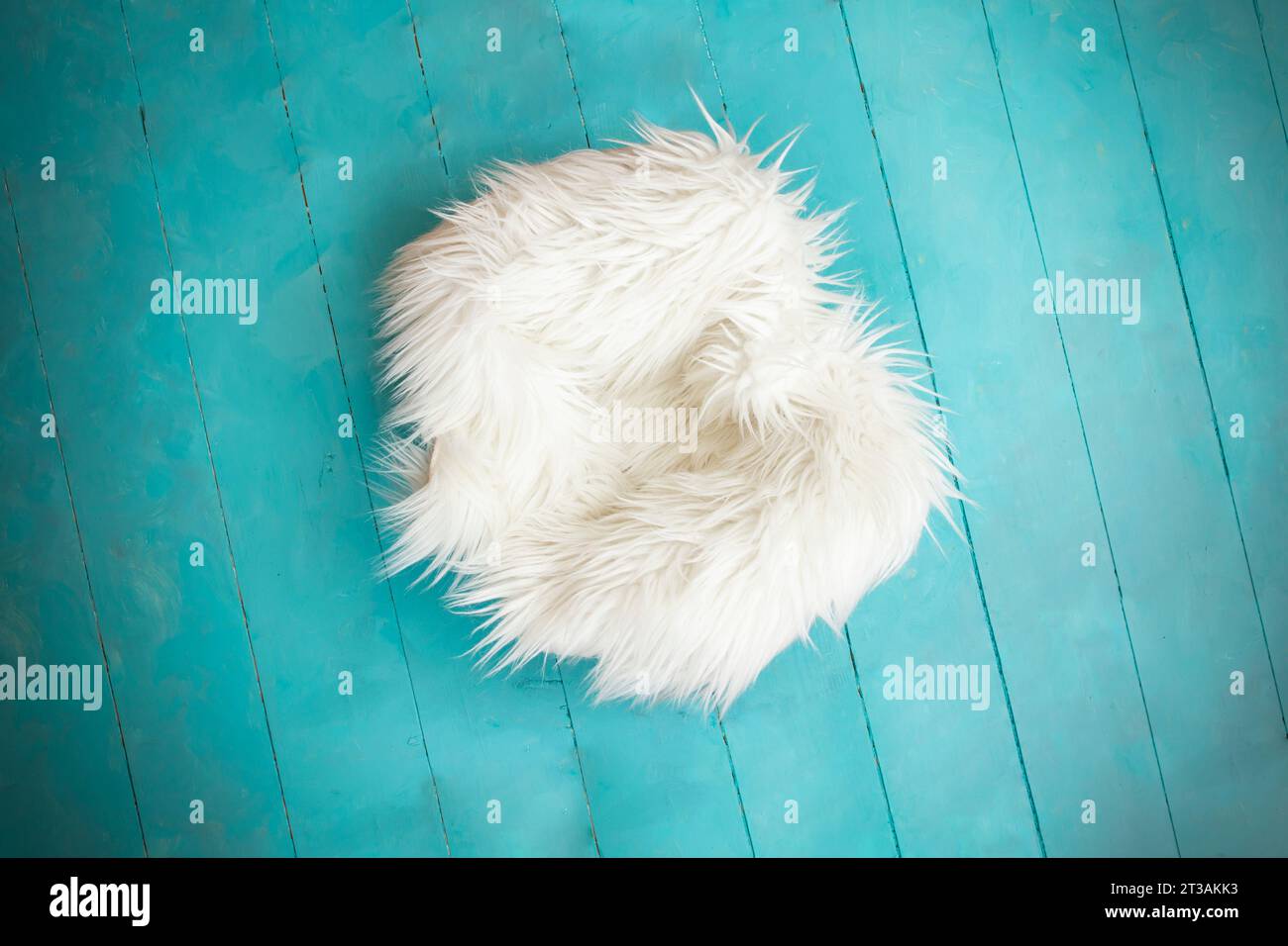 Foto neonati o ritratti per bambini sfondo bianco pelliccia su tavole di legno dipinte di blu su sfondo Foto Stock