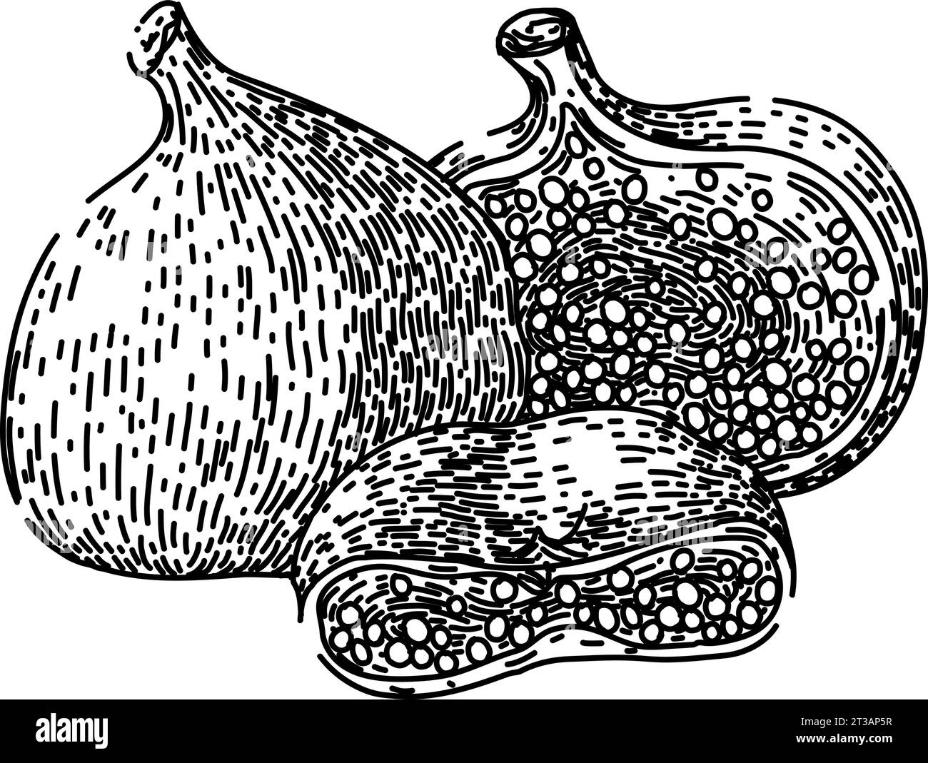 disegno di frutta secca per alimenti vettore disegnato a mano Illustrazione Vettoriale