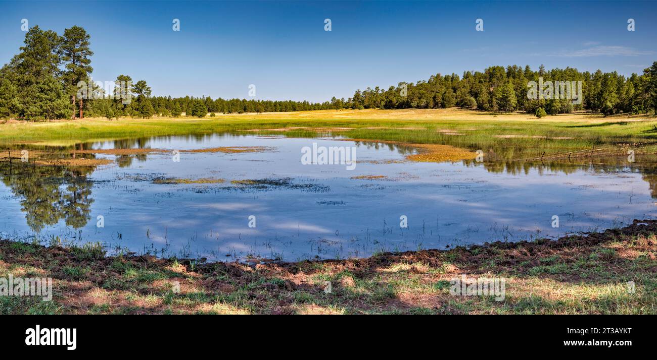 Lago vicino al McGaffey Campground, alle Zuni Mountains, alla Cibola National Forest, vicino alla comunità di McGaffey, New Mexico, USA Foto Stock