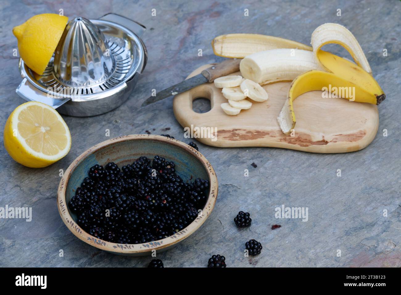 Brombeer-Milchshake, Milchshake, Milchshakes aus wilden Früchten, Brombeeren, Banane, Hafermilch oder Kuhmilch, Saft einer Zitrone, Vanillezucker. Fratello Foto Stock