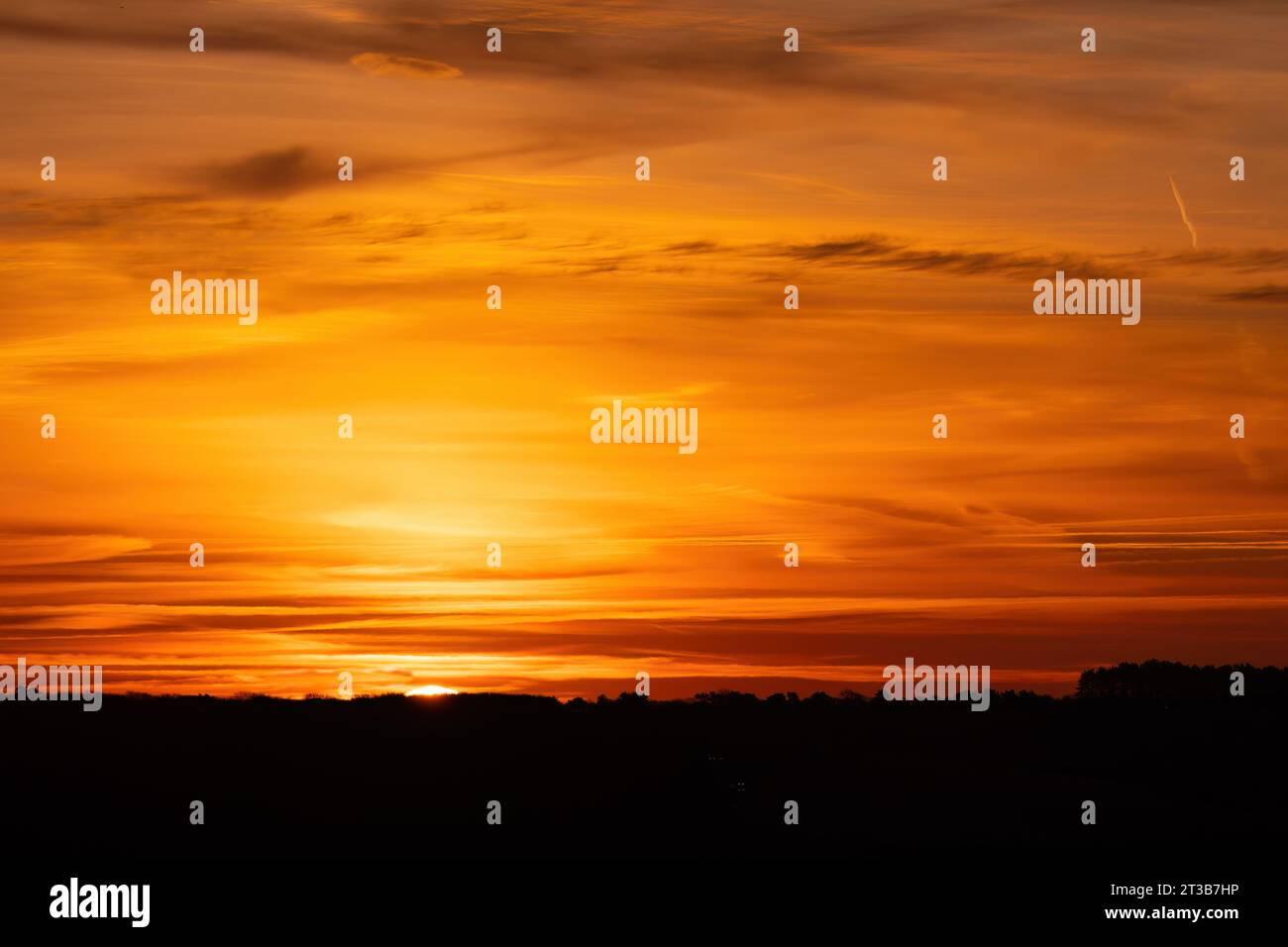 Il sole di dicembre sorge nella Valle di Cuckmere con nuvole e alberi all'orizzonte Foto Stock