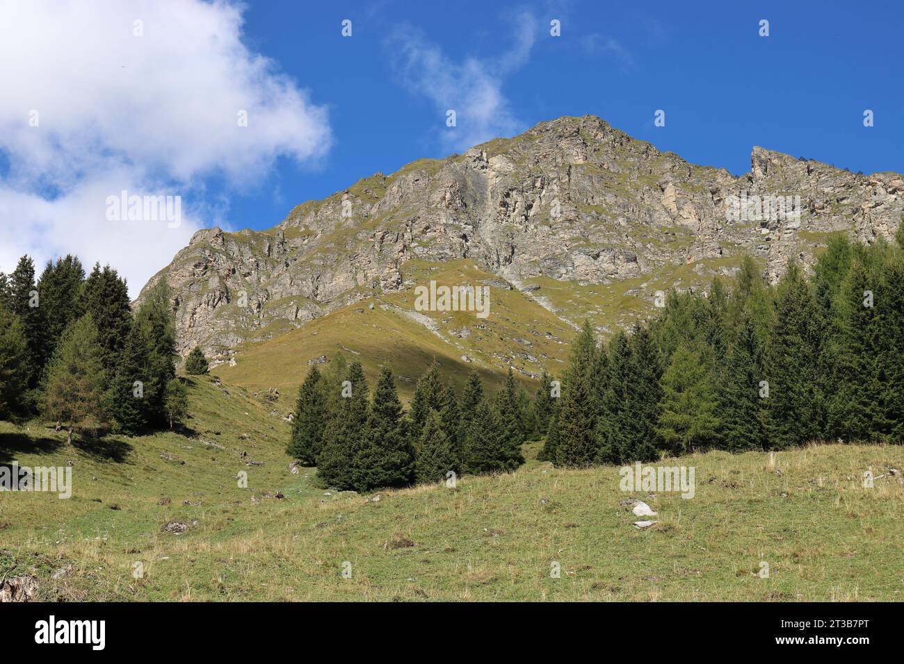 Vista della linea degli alberi nelle montagne e di una parete di roccia ricoperta di delicato verde contro un cielo nuvoloso blu Foto Stock