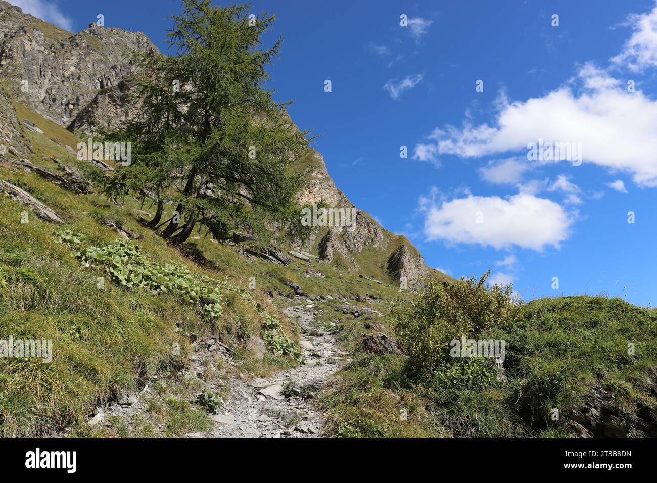 Un sentiero alpino vicino a Hintertux vi invita a fare un'escursione Foto Stock