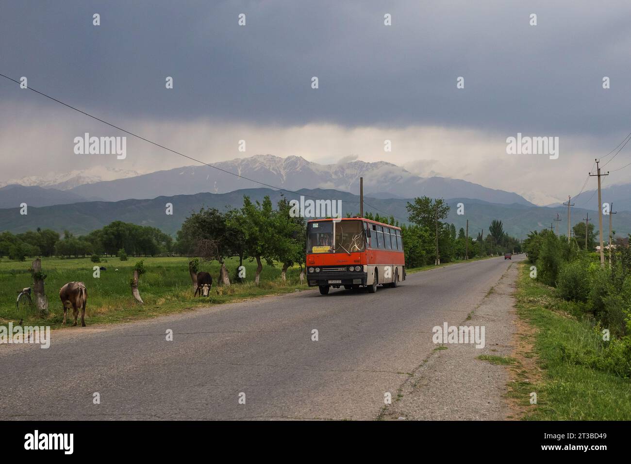 29.04.2022. Tagikistan, vicino a Tursunzoda. Ikarus 256 con i lavoratori. Foto Stock