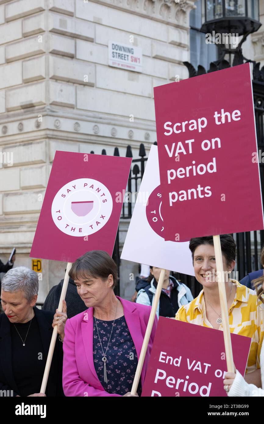 Londra, Regno Unito. 24 ottobre 2023. Una protesta contro l'IVA su Pants periodo si è tenuta fuori Downing Street Londra Regno Unito. Crediti: Ian Davidson/Alamy Live News Foto Stock
